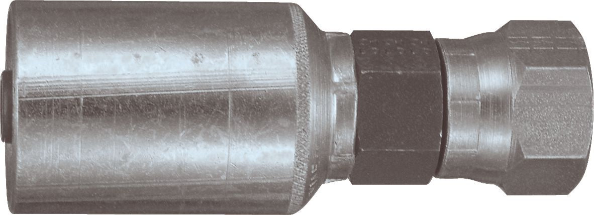 DV_ZoomOriginal_P_6137.jpg
