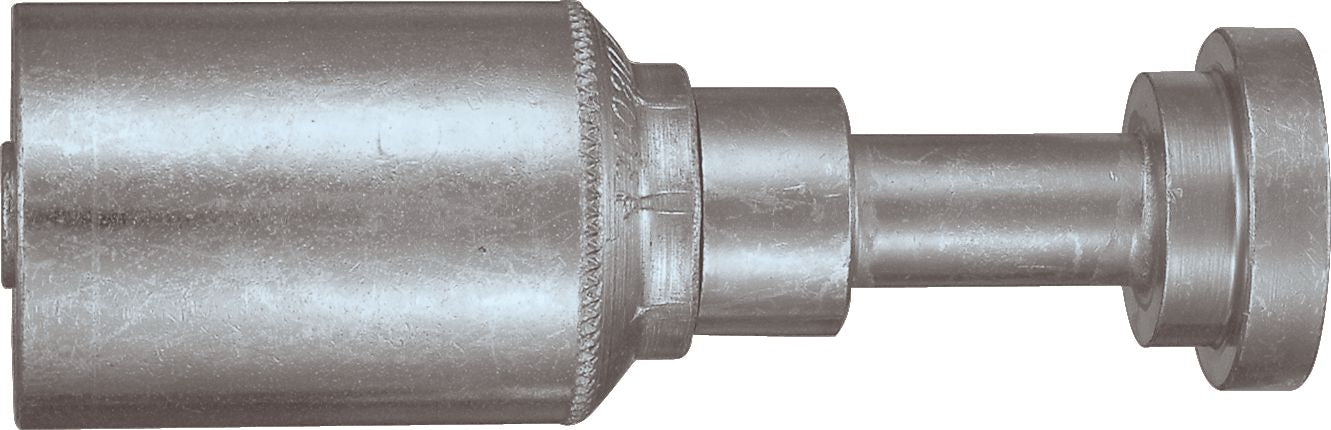 DV_ZoomOriginal_P_6141.jpg