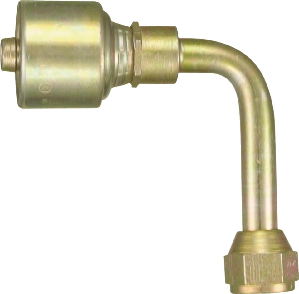 DV_ZoomOriginal_P_6285.jpg
