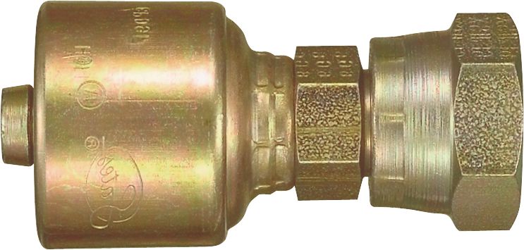 DV_ZoomOriginal_P_6300.jpg