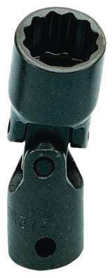 DV_ZoomOriginal_P_HT1849.jpg