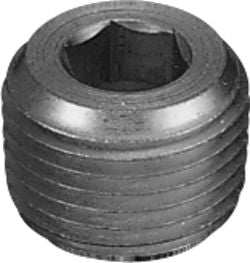 DV_ZoomOriginal_P_P6424.jpg