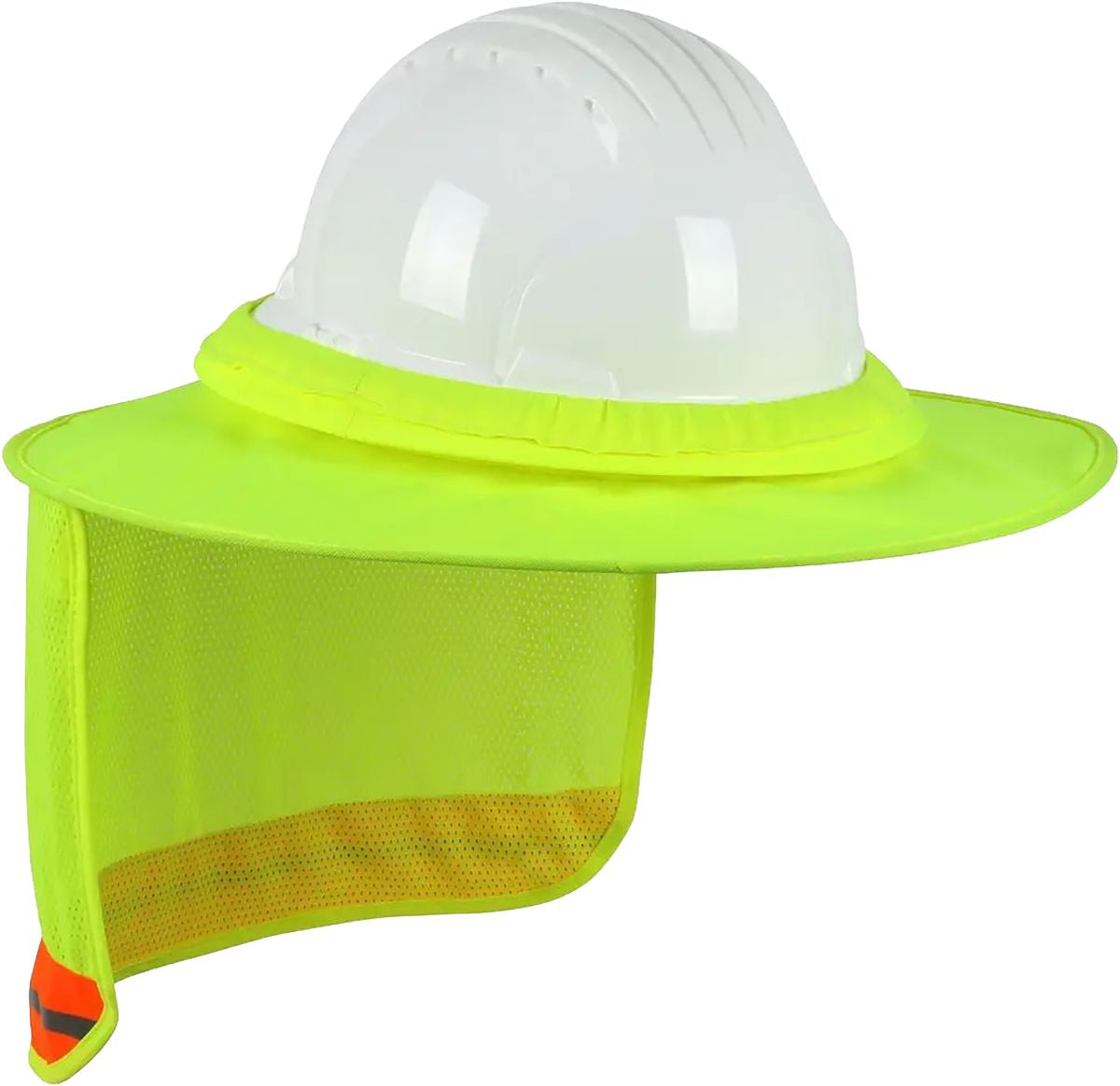 DV_ZoomOriginal_P_PIPESS158.jpg
