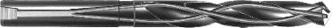 DV_ZoomOriginal_P_R299_WB.jpg
