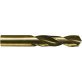  Screw Machine Length Drill Bit Cobalt 21/64" - 1190999