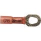  Ring Tongue Terminal 22 to 18 AWG Red - P50441