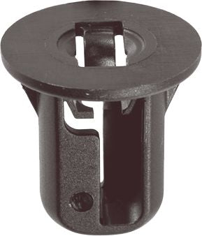 DV_ZoomOriginal_I_1118458.jpg