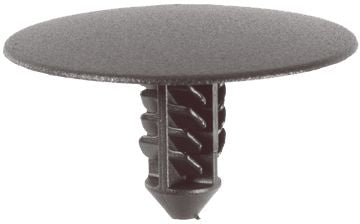 DV_ZoomOriginal_I_1118492.jpg