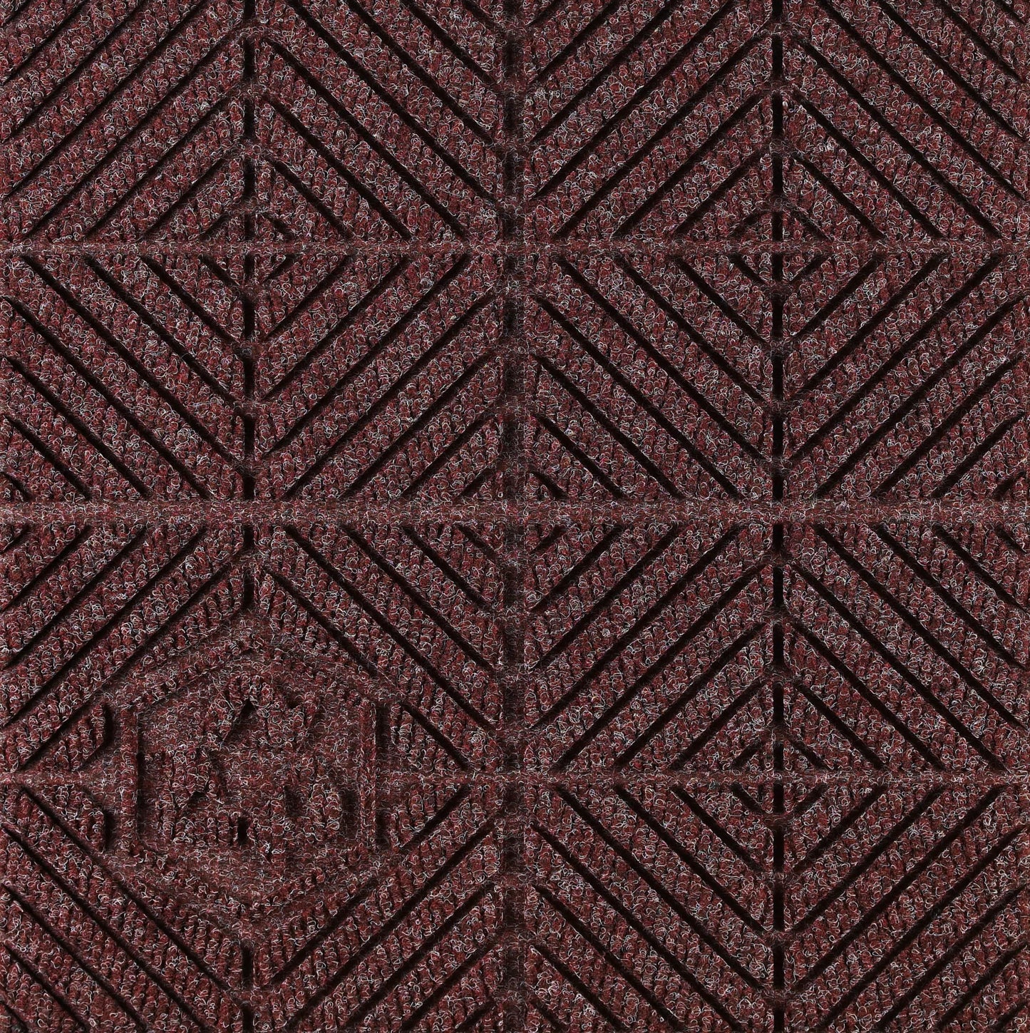 DV_ZoomOriginal_I_1319770.jpg