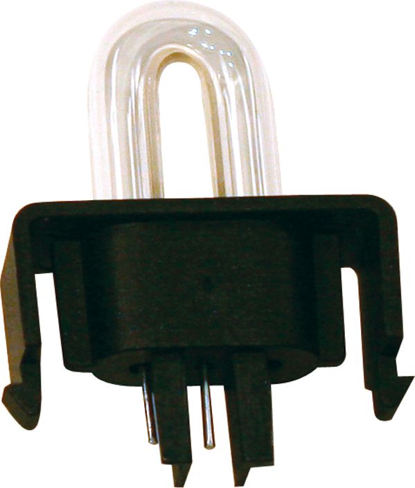 DV_ZoomOriginal_I_1324218.jpg