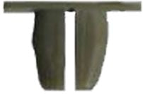 DV_ZoomOriginal_I_1431680.jpg