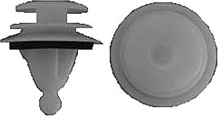 DV_ZoomOriginal_I_1446675.jpg