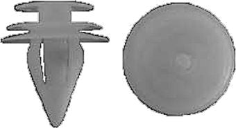 DV_ZoomOriginal_I_1446676.jpg
