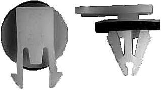DV_ZoomOriginal_I_1446680.jpg