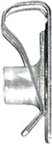 DV_ZoomOriginal_I_1481964_SD1.jpg