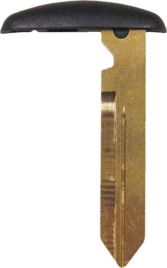 DV_ZoomOriginal_I_1523403.jpg