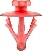 DV_ZoomOriginal_I_1531043.jpg