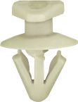 DV_ZoomOriginal_I_1564469.jpg