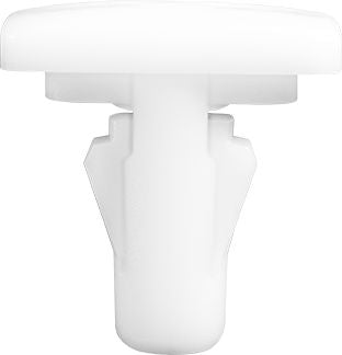 DV_ZoomOriginal_I_1609751.jpg