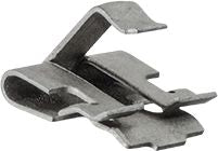 DV_ZoomOriginal_I_1609754.jpg