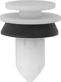 DV_ZoomOriginal_I_1635621.jpg