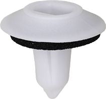 DV_ZoomOriginal_I_1637106.jpg