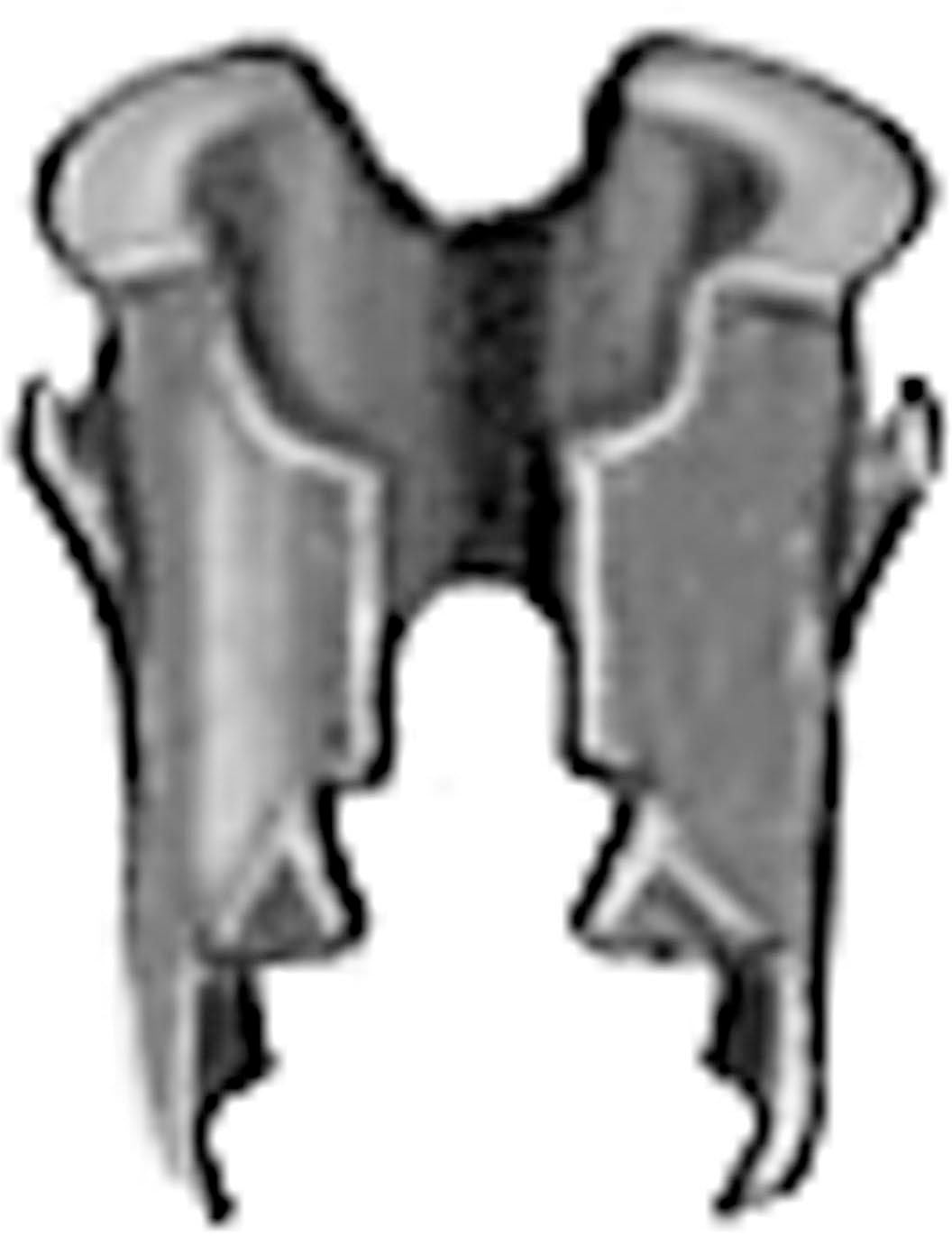 DV_ZoomOriginal_I_1679107.jpg