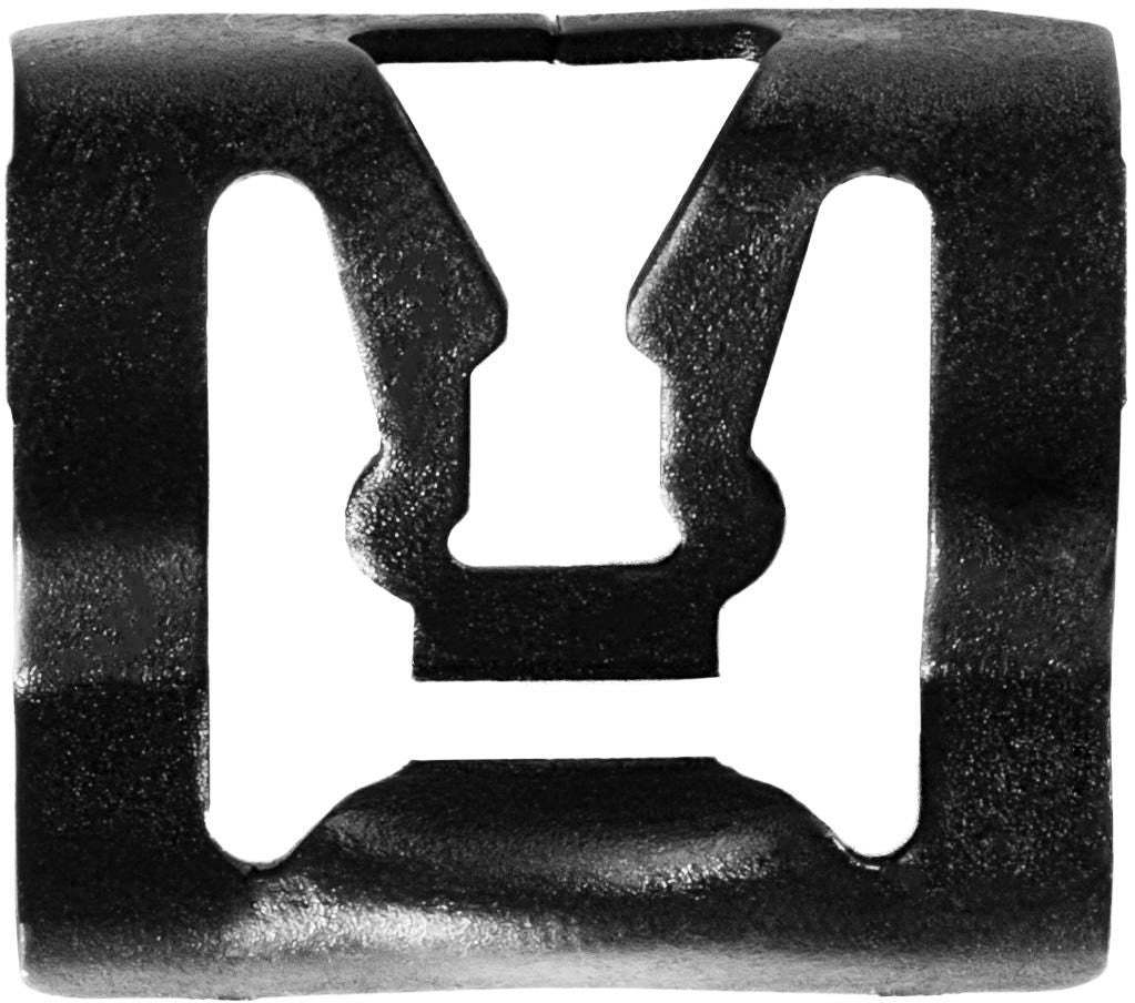 DV_ZoomOriginal_I_1679163.jpg