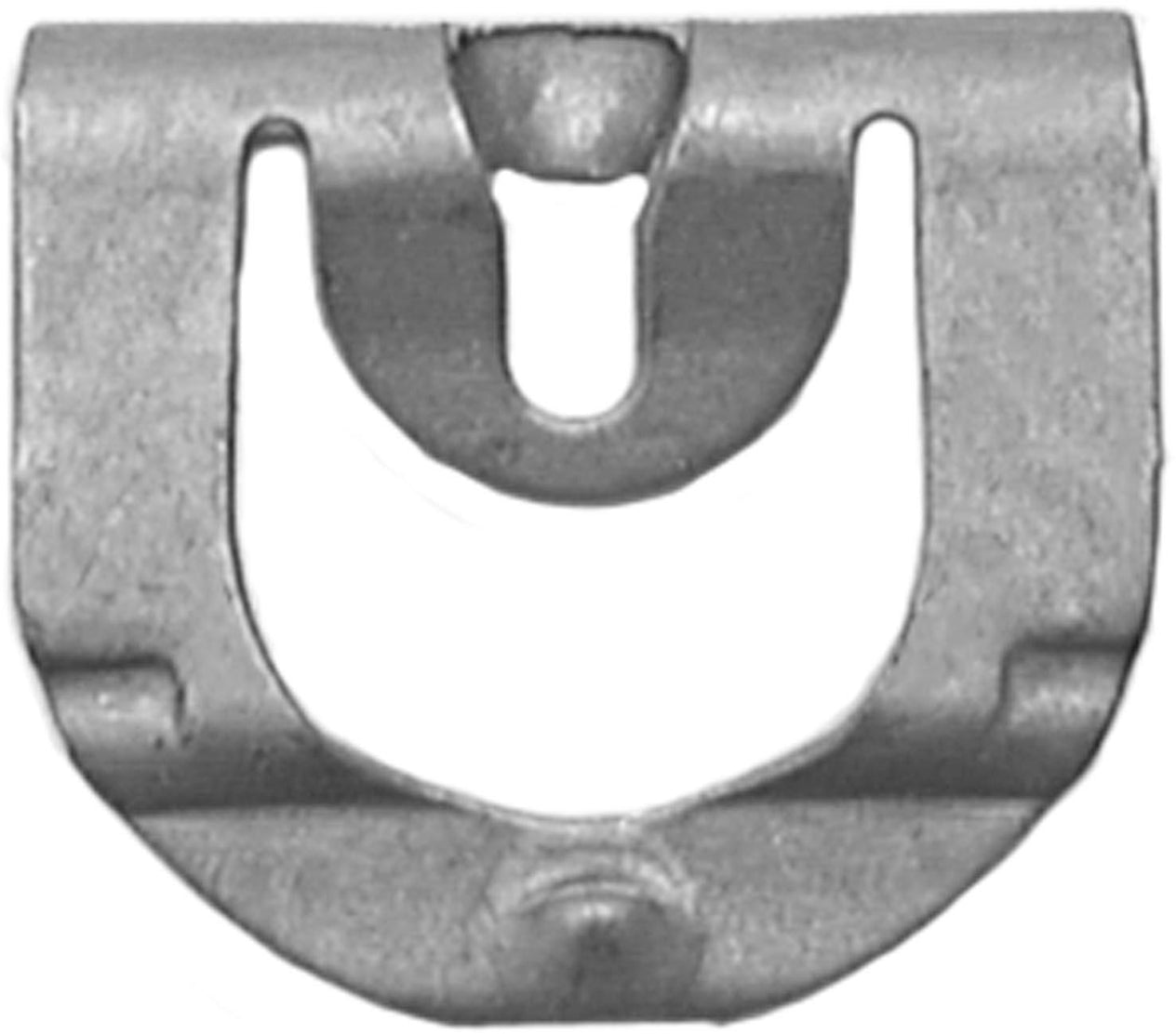 DV_ZoomOriginal_I_1679191.jpg