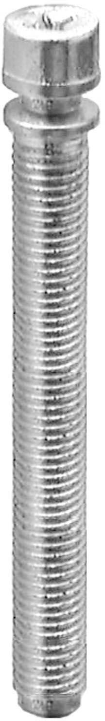 DV_ZoomOriginal_I_1679227.jpg