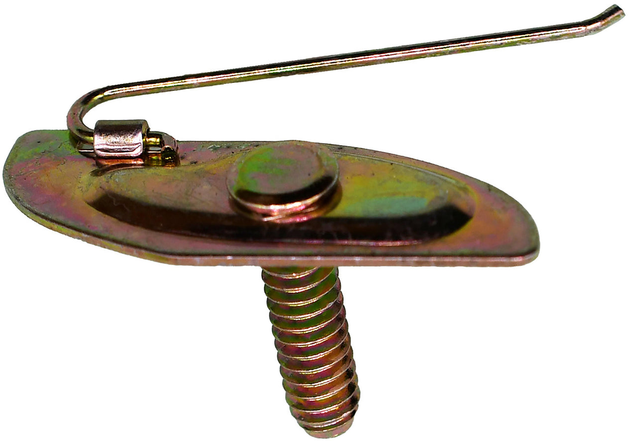DV_ZoomOriginal_I_1679329.jpg