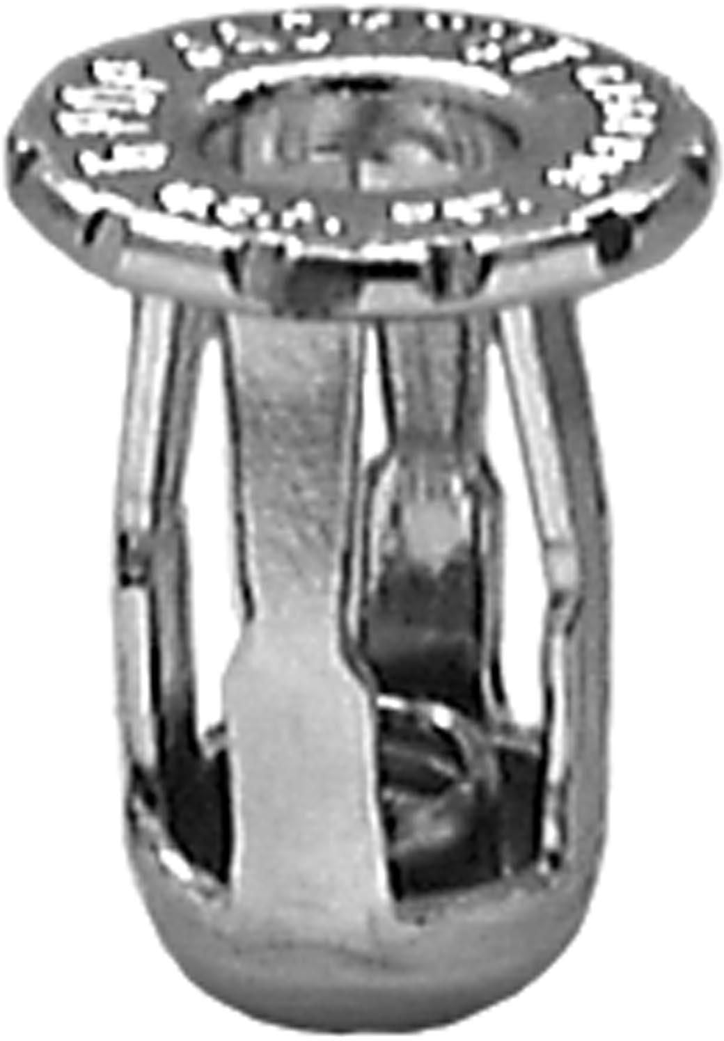 DV_ZoomOriginal_I_1679341.jpg
