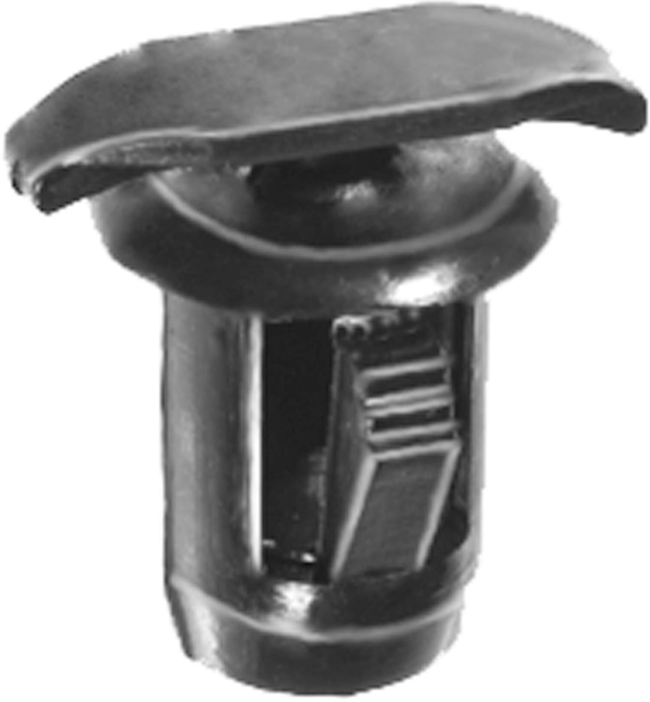 DV_ZoomOriginal_I_1679697.jpg