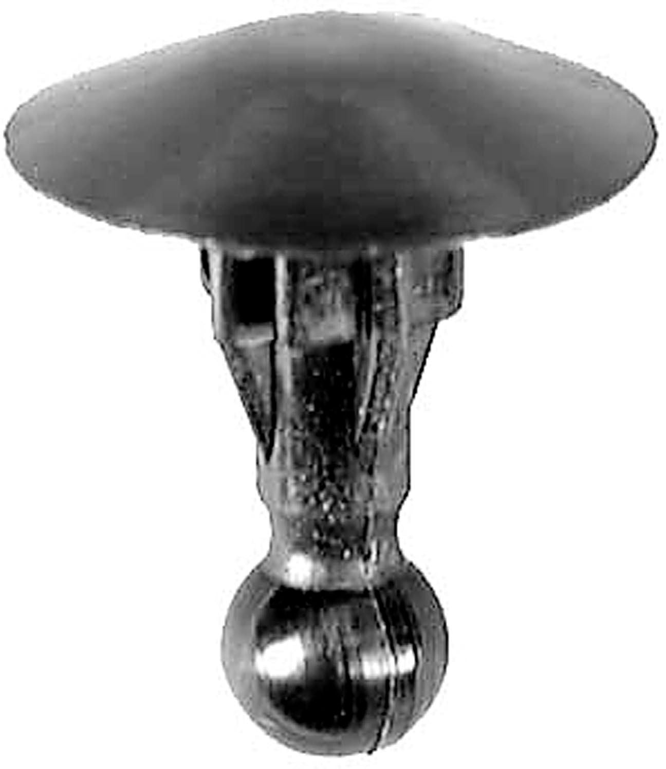 DV_ZoomOriginal_I_1679815.jpg