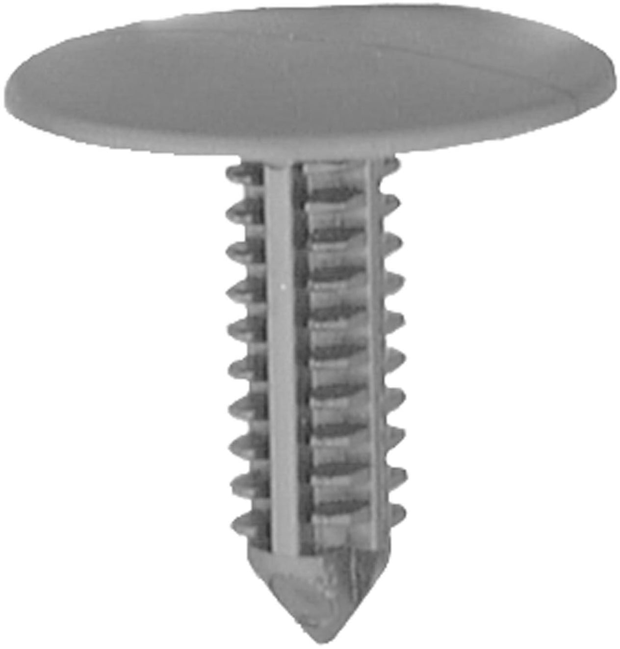 DV_ZoomOriginal_I_1679837.jpg