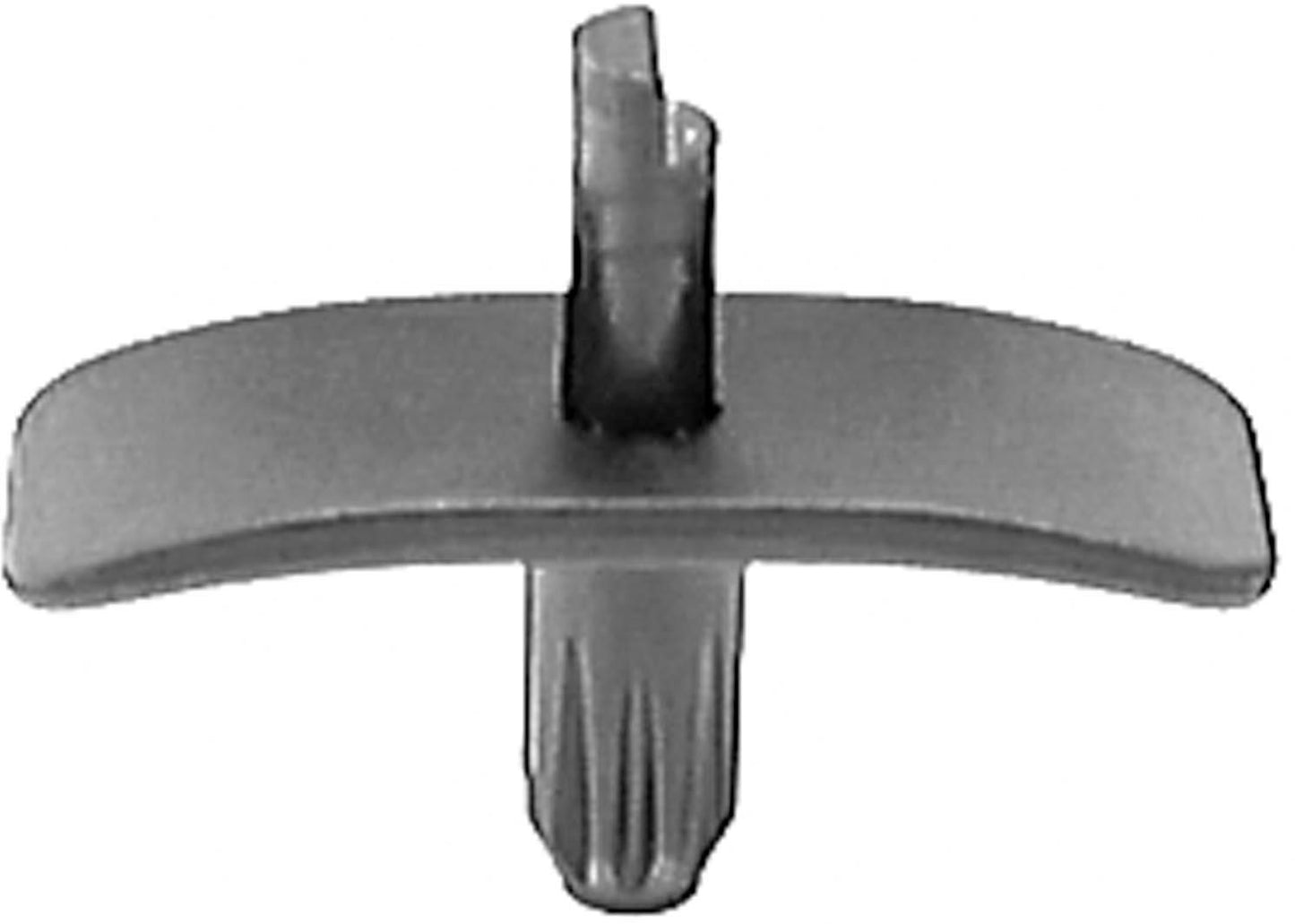 DV_ZoomOriginal_I_1679908.jpg