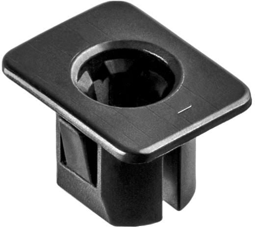 DV_ZoomOriginal_I_1679983.jpg