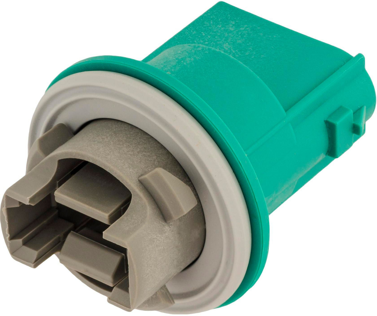 DV_ZoomOriginal_I_1680154.jpg