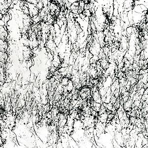 DV_ZoomOriginal_I_1710240_AP1.jpg