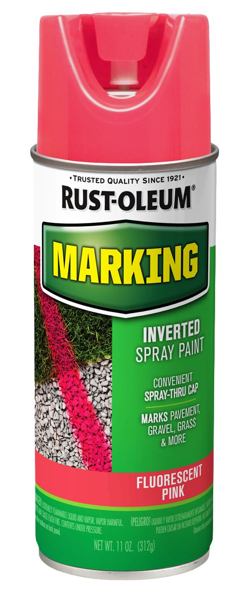 DV_ZoomOriginal_I_1710244.jpg