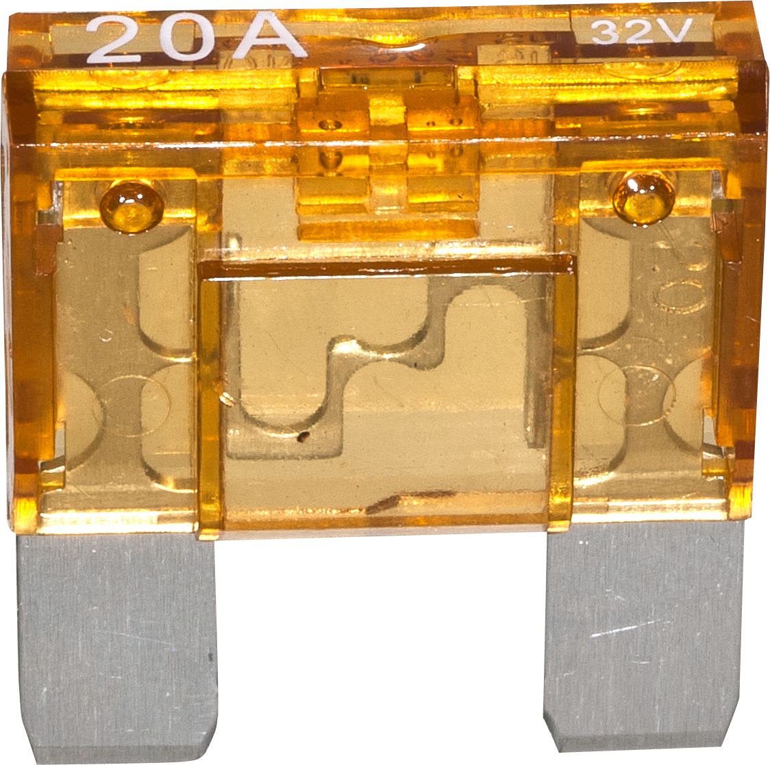 DV_ZoomOriginal_I_17196.jpg