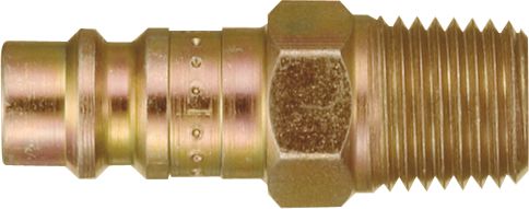 DV_ZoomOriginal_I_17340.jpg