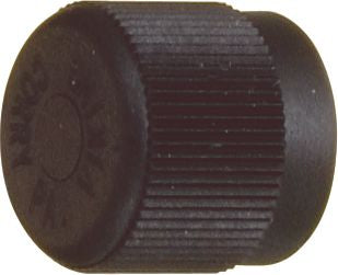 DV_ZoomOriginal_I_17520.jpg