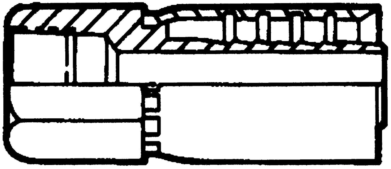 DV_ZoomOriginal_I_20493.jpg