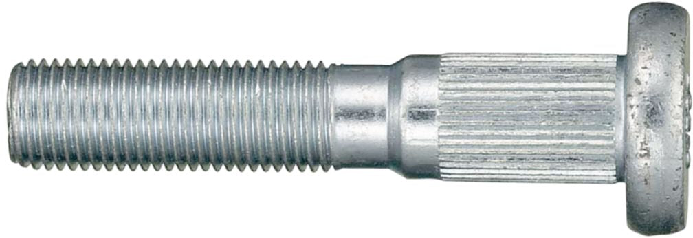DV_ZoomOriginal_I_26953.jpg