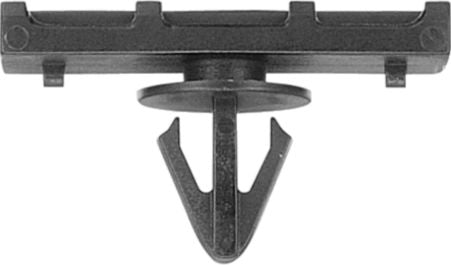 DV_ZoomOriginal_I_29806.jpg