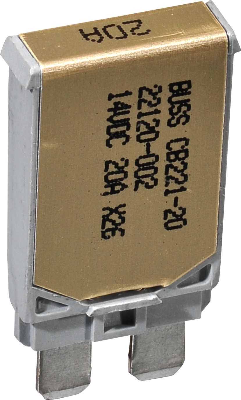 DV_ZoomOriginal_I_29852.jpg