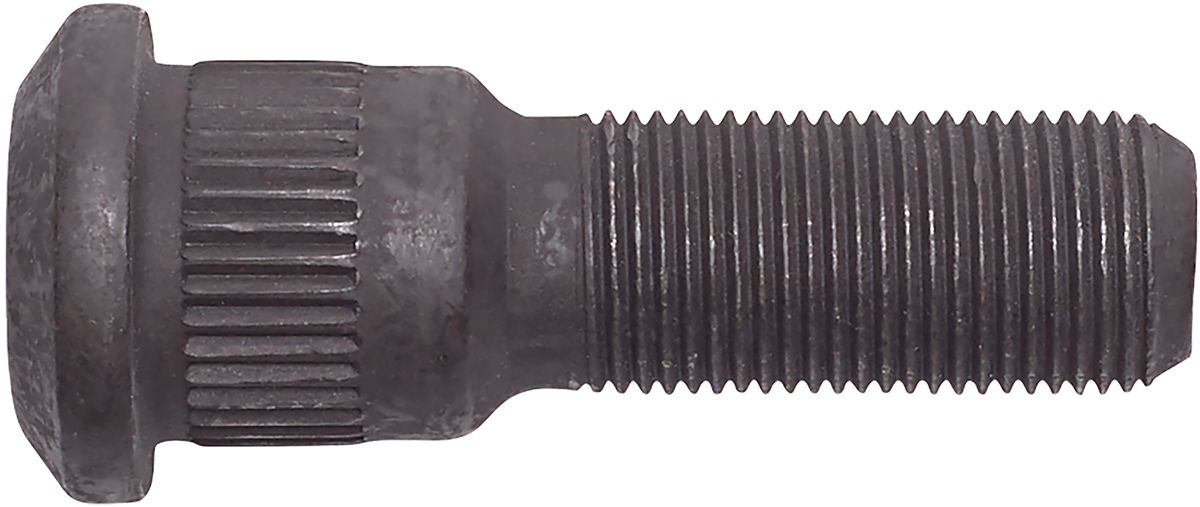 DV_ZoomOriginal_I_30254.jpg