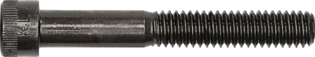 DV_ZoomOriginal_I_3445.jpg