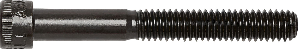 DV_ZoomOriginal_I_3446.jpg